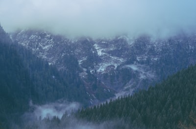 Achter de Blauwe deur